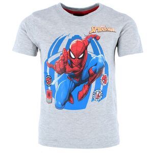 Textiel Trade Boy's Toddler Spiderman T-Shirt